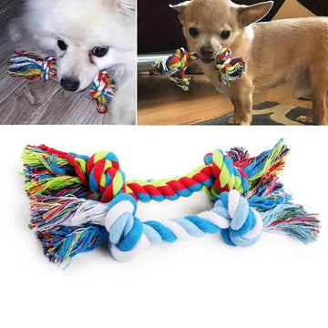 Why Do Dogs Chew Toys?