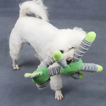 Why Do Dogs Destroy Toys?