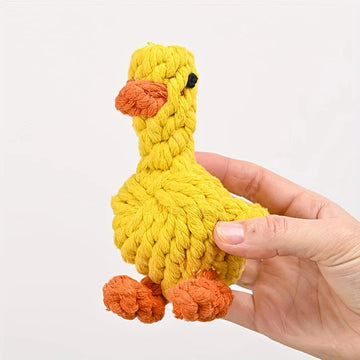 How to Choose the Right Toys for Small Dogs?