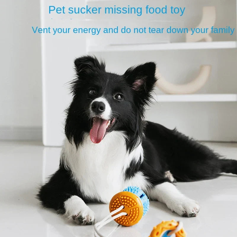 Want a Toy That Cleans Teeth and Dispenses Food?