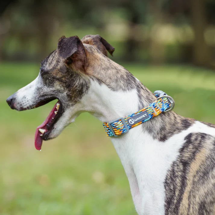 How Are Dog Collars Measured？