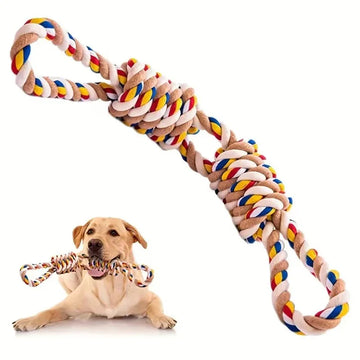 Why Tug-of-War is Great for Dogs?