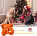 Best Gift Chew Toy for Your Dog