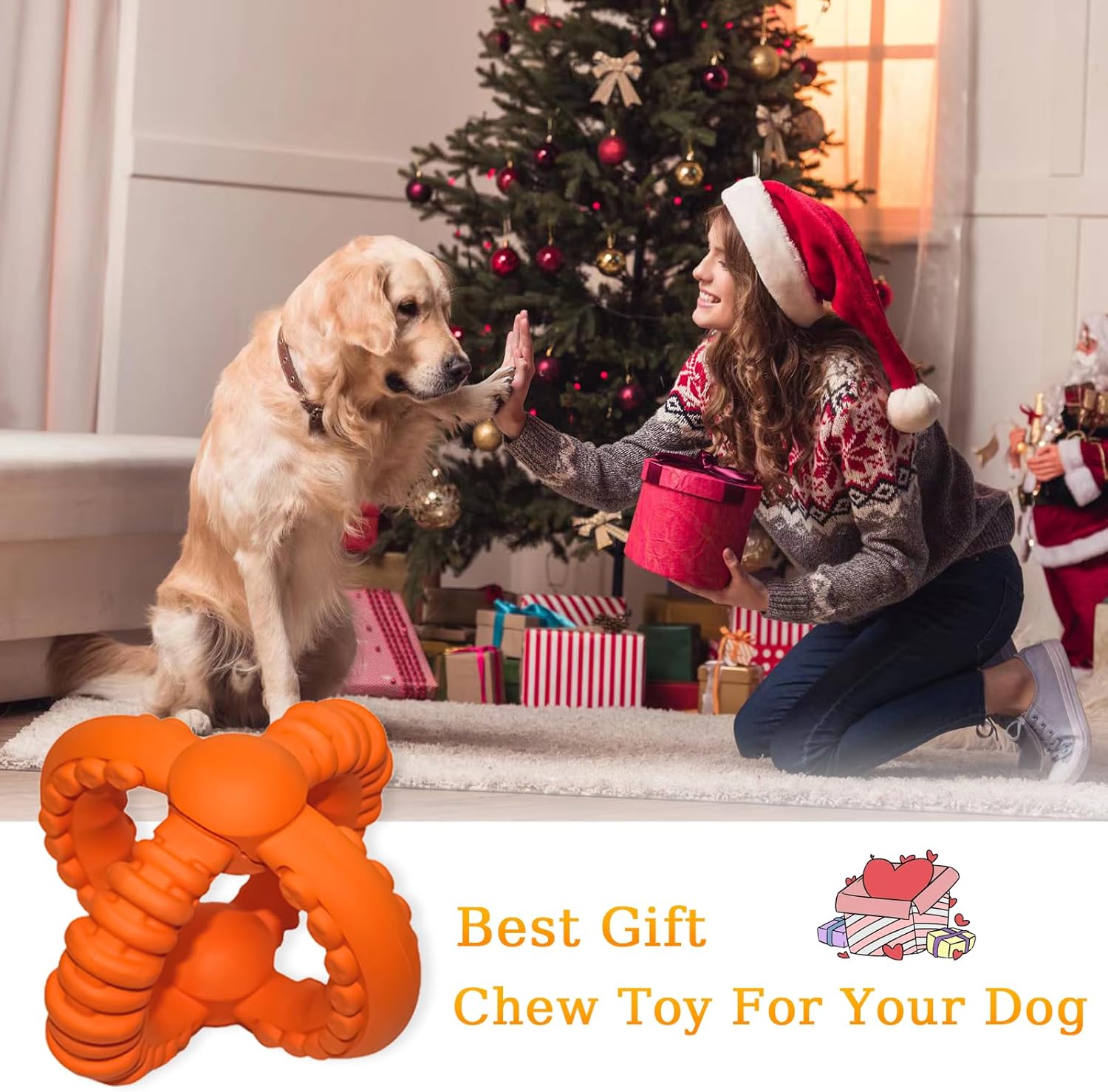 Best Gift Chew Toy for Your Dog