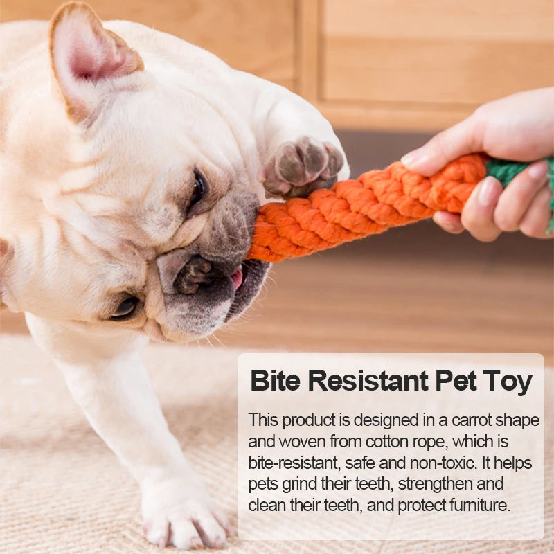 Bite Resistant Pet Toy