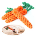 Chew Toys for Teething Dogs