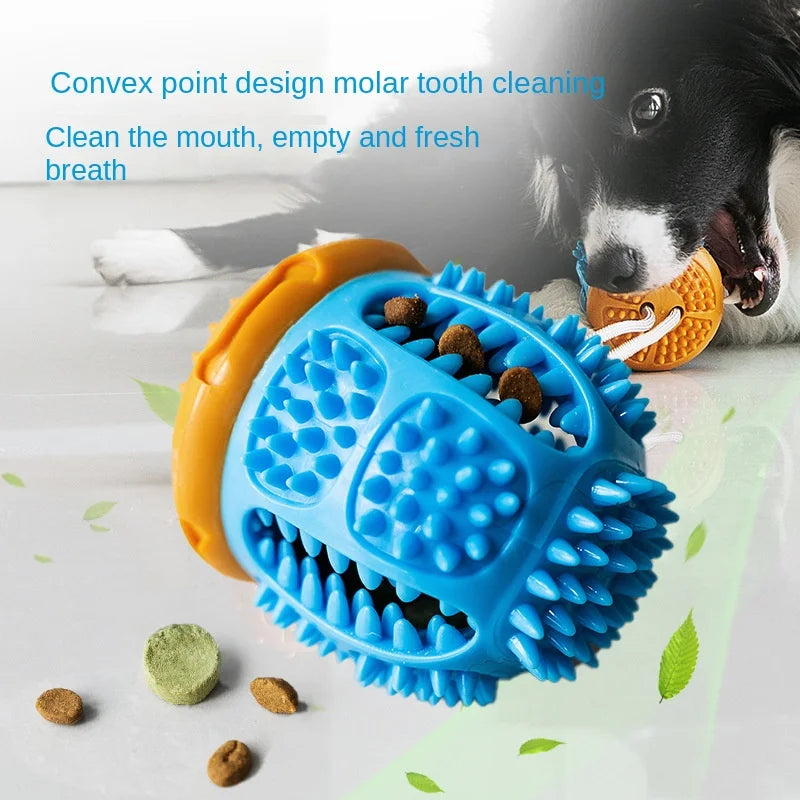 Convex Point Design Molar Tooth Cleaning