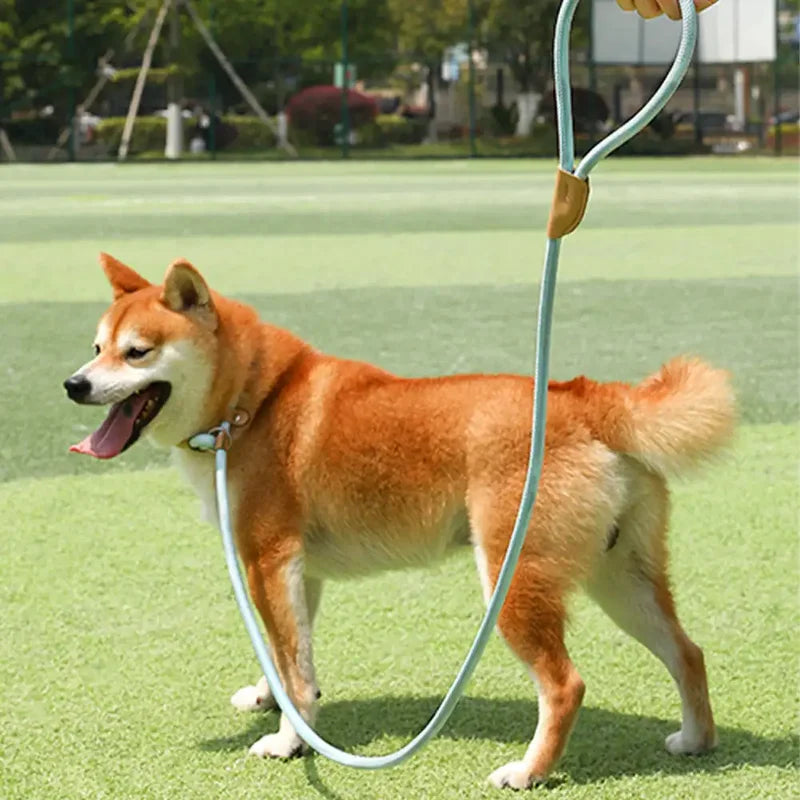 Dog Leash Chain Slip Rope