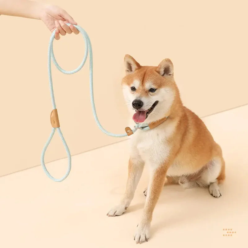 Shiba Inu Dog Leash