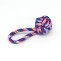 Dog Interactive Rope Toy