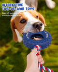 Dog Tug of War Games