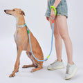 Fashion Dog Leash Rope 