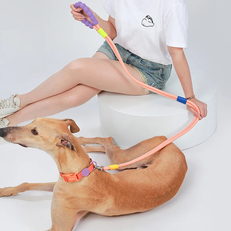 Fashion Pet Leash Rope 