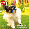 GiGwi Dog Toy Ball