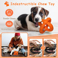 Indestructible Chew Toy