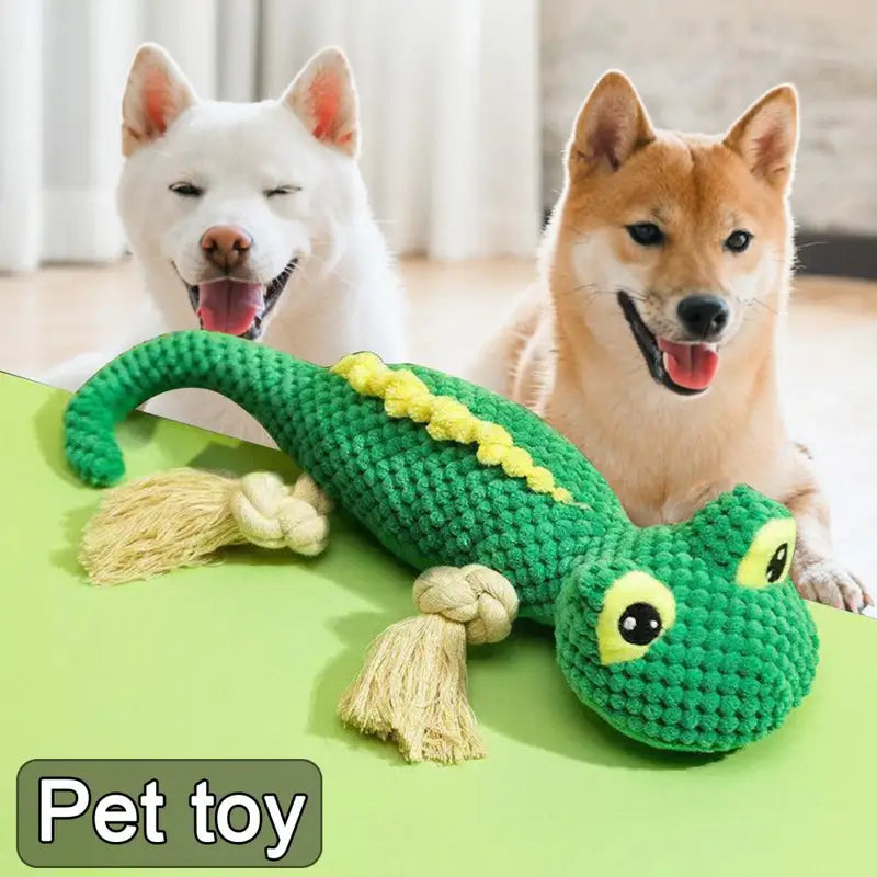 Pet Toy