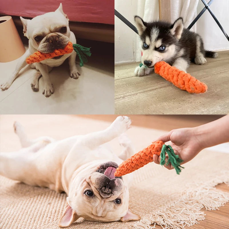 Carrot Shape Rope Pet Toys