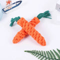 Fresh Carrot Plush Dog Toy