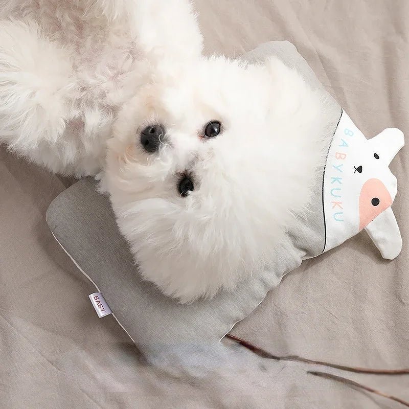  Puppy Lying on Pillow