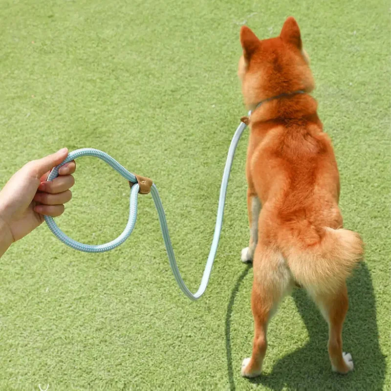 Shiba Inu Dog Leash